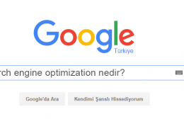 Seo Nedir? Neden Gereklidir? (Search Engine Optimization)